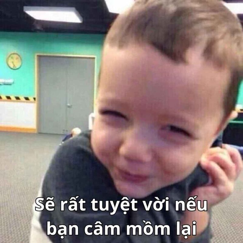 Những ảnh meme chửi - Hình số 9