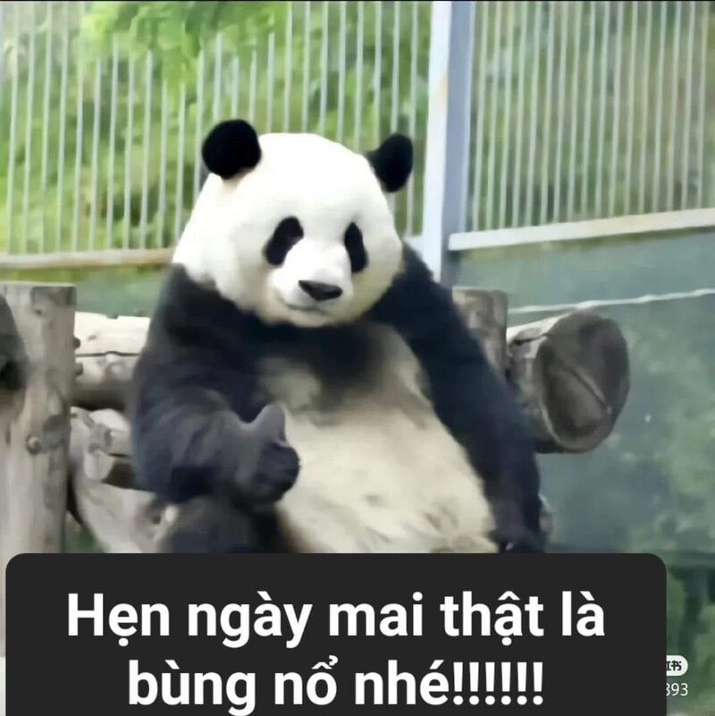 Những ảnh meme cute có chữ đáng yêu - Hình số 10