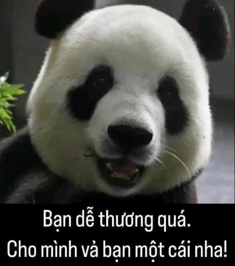 Những ảnh meme cute có chữ đáng yêu - Hình số 8