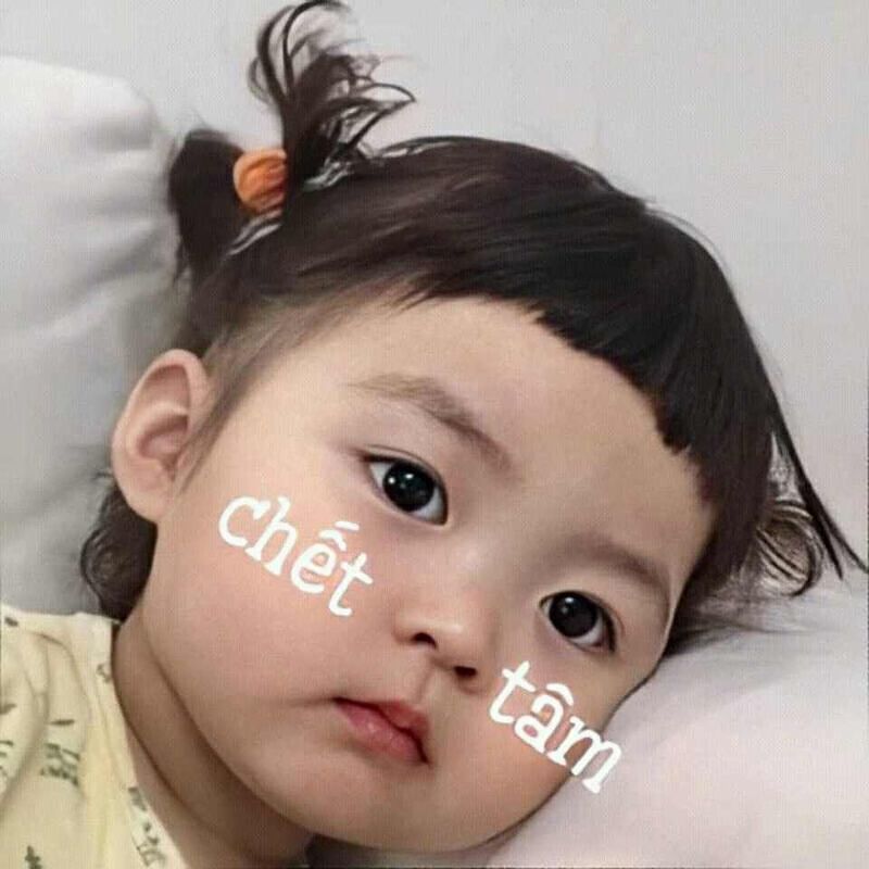 Những ảnh meme cute em bé - Hình số 2