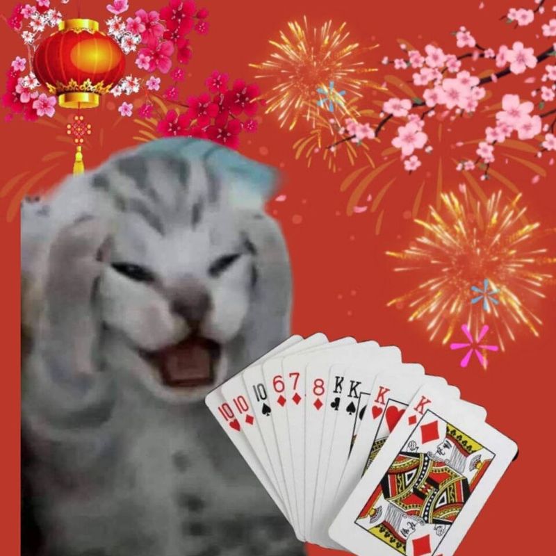 Những ảnh meme tết - Hình số 7