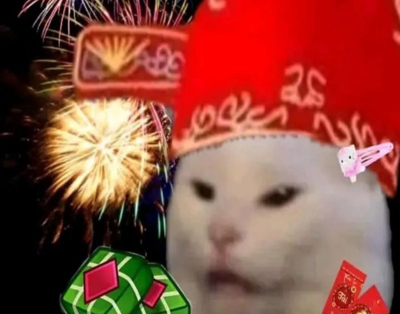 Những ảnh meme tết - Hình số 9