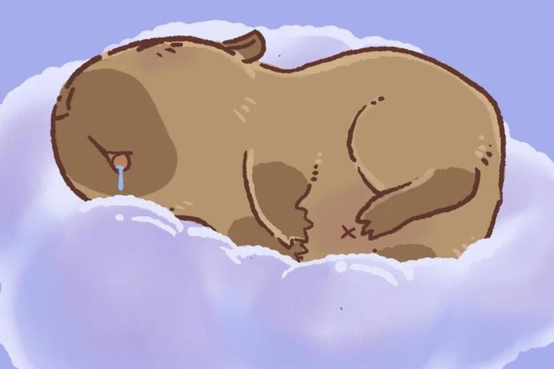 Những hình nền 8k cute capybara - Hình số 3
