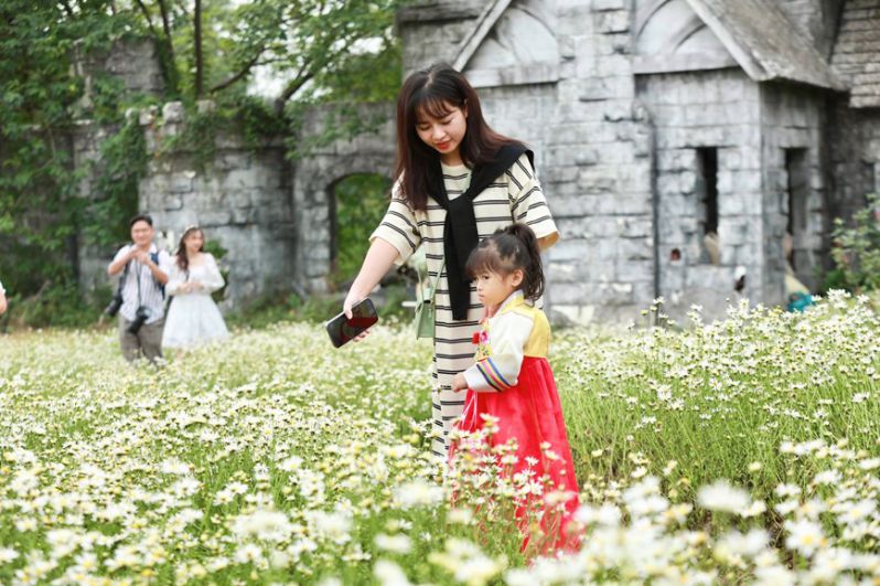 Những hình ảnh hoa cúc trắng nhẹ nhàng - Hình số 10