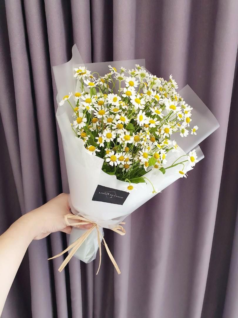 Những hình ảnh hoa cúc trắng nhẹ nhàng - Hình số 2