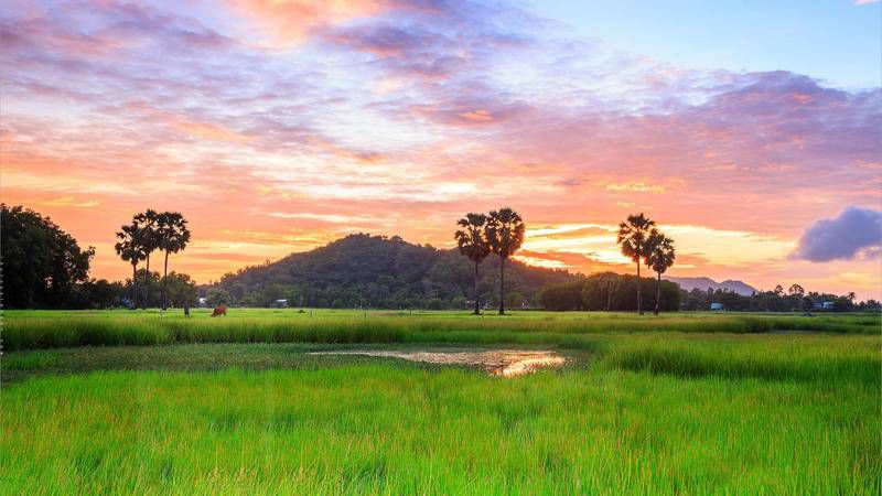 Những ảnh đại diện đẹp phong cảnh - Hình số 4
