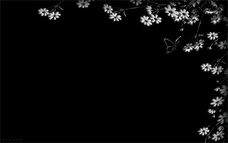 Những black background huyền bí - Hình số 6