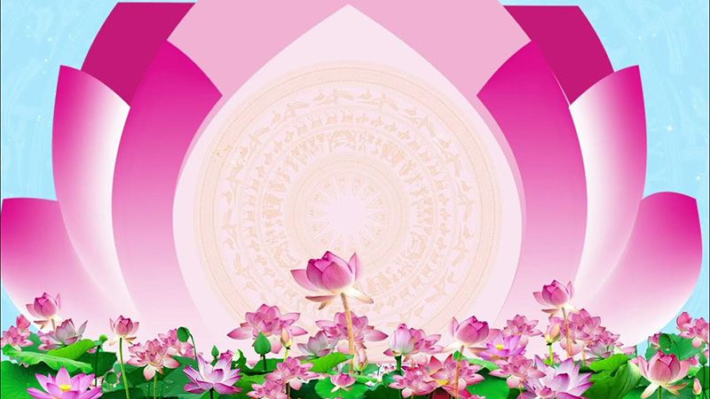 Những background đẹp vector - Hình số 6