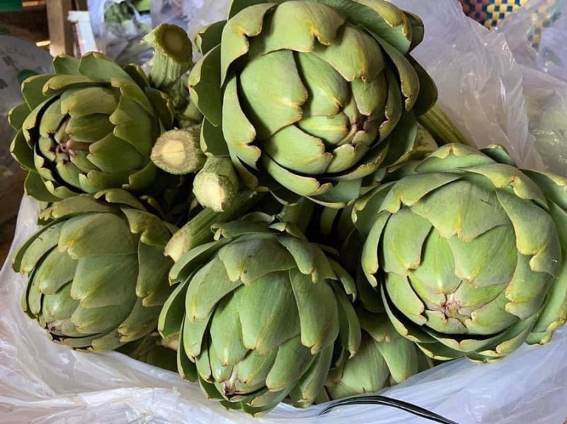 Những hình ảnh hoa atiso trên cây - Hình số 3