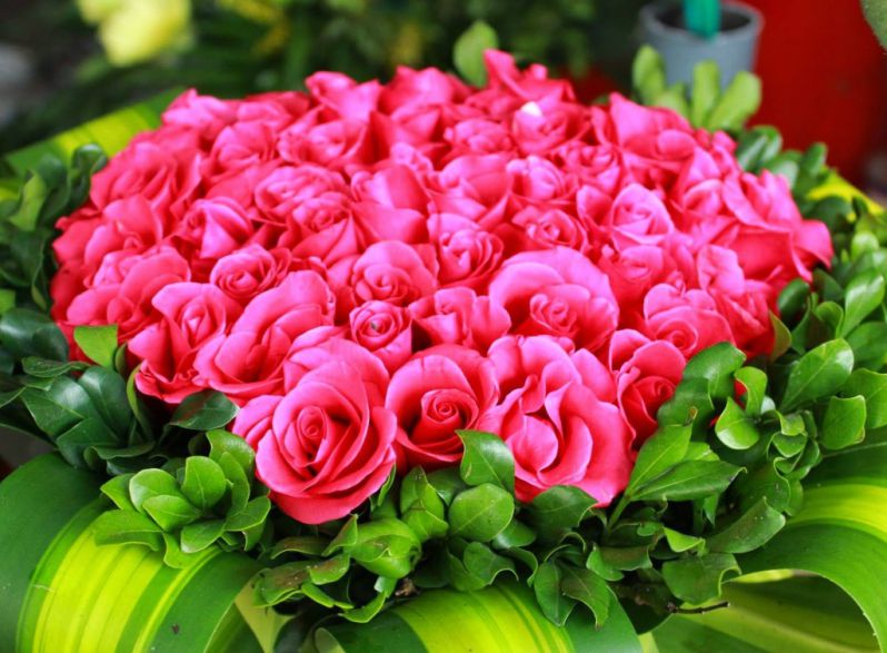 Những hình ảnh hoa hồng đẹp - Hình số 4