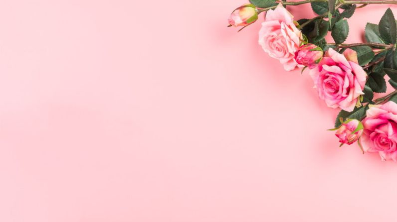 Những hình ảnh hoa hồng màu hồng - Hình số 6