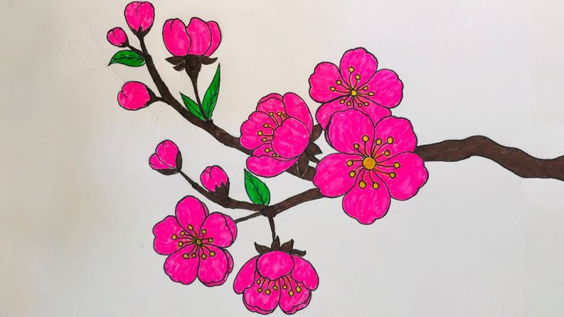 Những hình ảnh hoa đào vẽ - Hình số 2