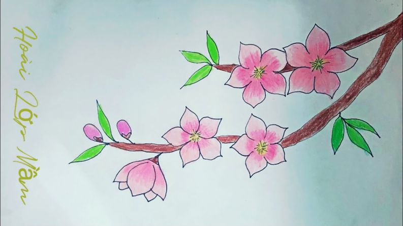 Những hình ảnh hoa đào vẽ - Hình số 5