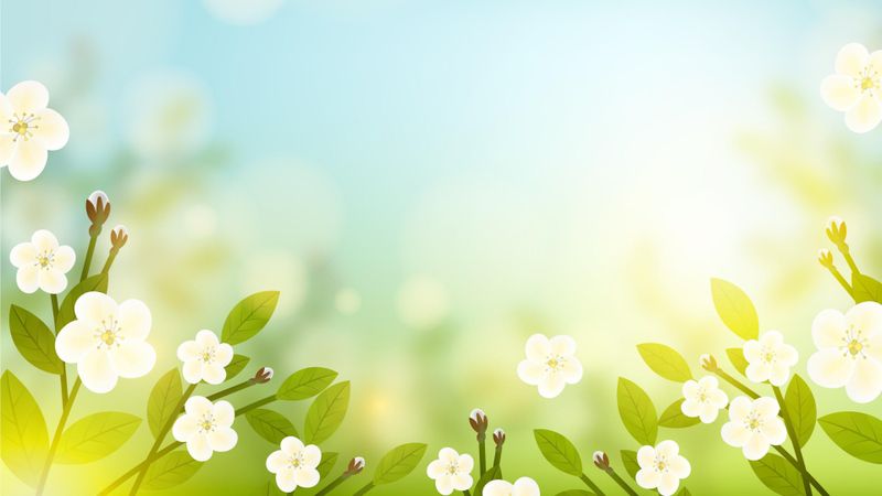 Những background powerpoint hoa - Hình số 7