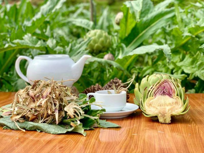 Những hình ảnh hoa atiso khô - Hình số 10