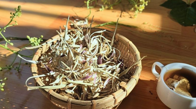 Những hình ảnh hoa atiso khô - Hình số 5