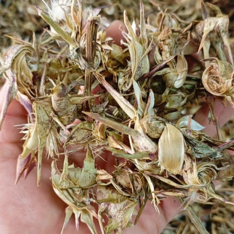 Những hình ảnh hoa atiso khô - Hình số 6