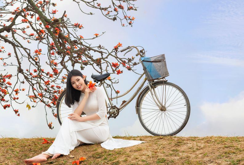 Những hình ảnh hoa gạo đỏ rực rở - Hình số 5