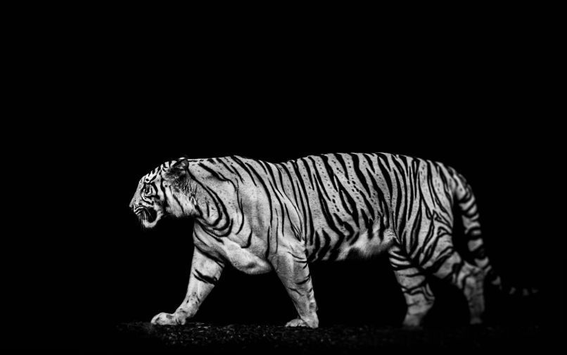 Những black background 4k - Hình số 6