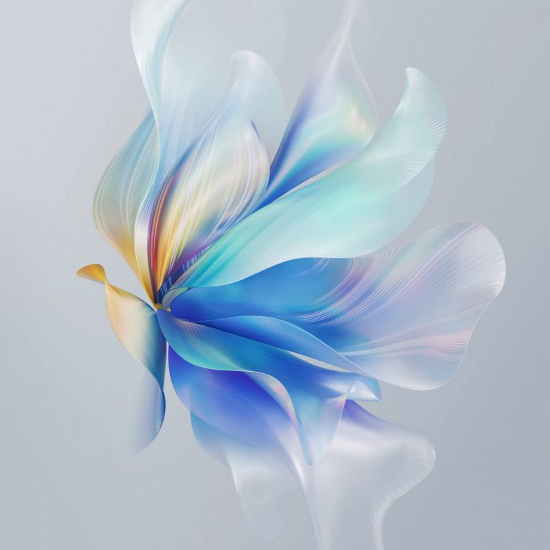 Những white background hd - Hình số 1