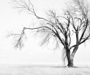Những white background hd - Hình số 7