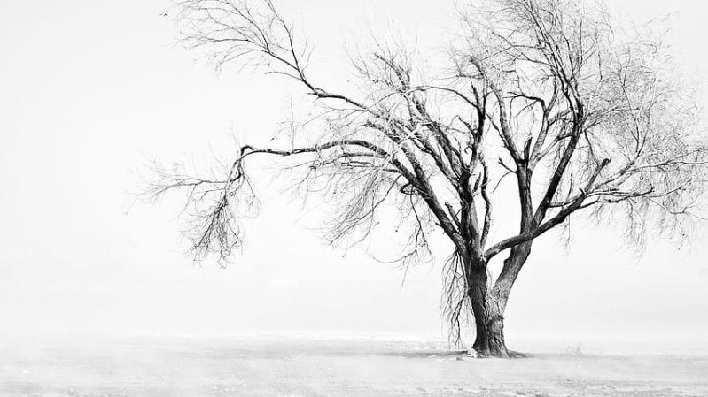 Những white background hd - Hình số 7