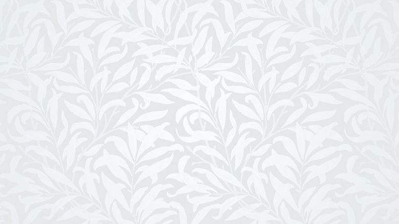 Những white background hd - Hình số 9