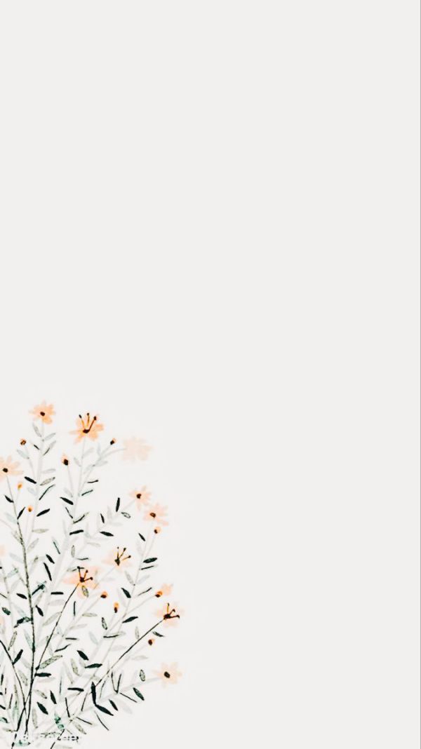 Những white background phone - Hình số 7