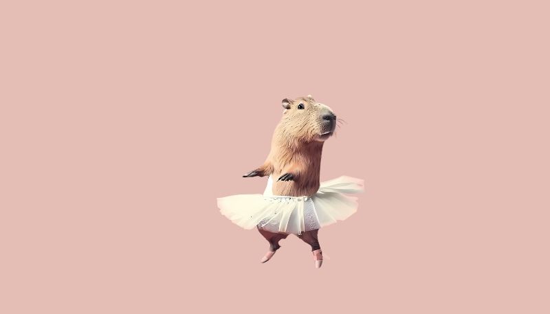 Những ảnh capybara chibi hài - Hình số 2