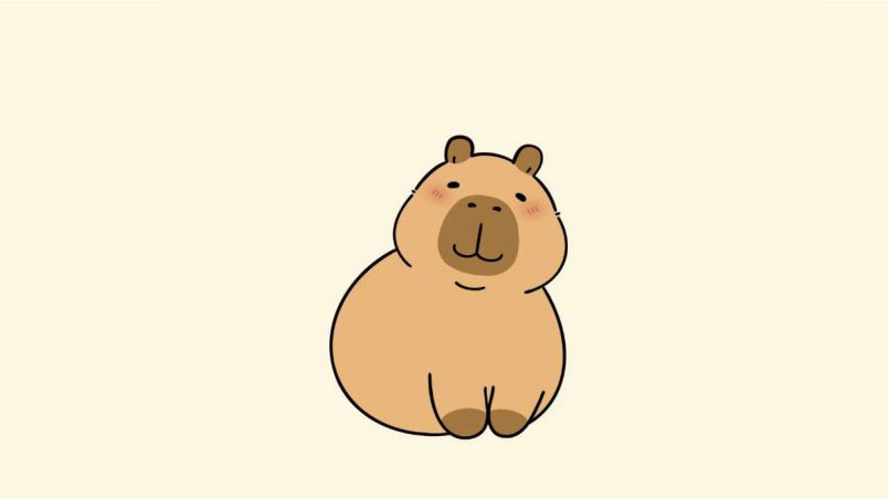 Những ảnh capybara chibi hài - Hình số 5