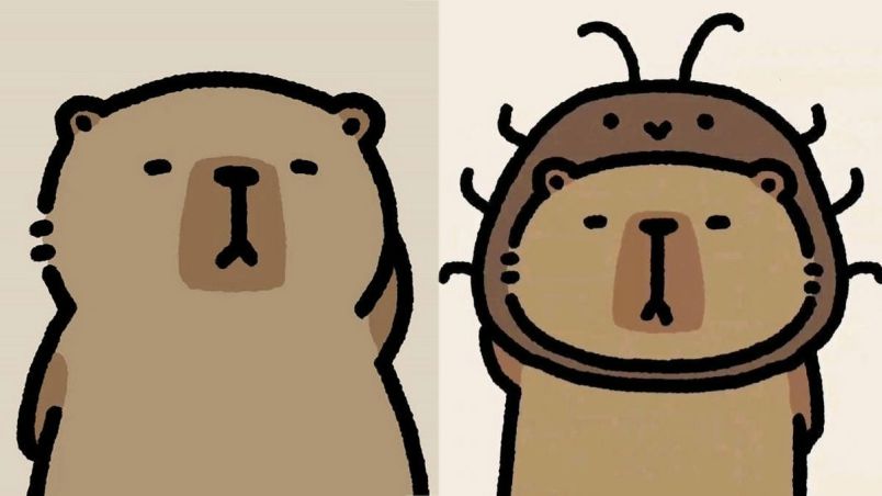 Những ảnh capybara chibi hài - Hình số 7