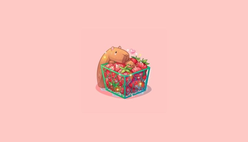 Những ảnh capybara chibi hài - Hình số 9