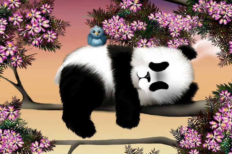 Những ảnh gấu trúc cute chibi đẹp - Hình số 9
