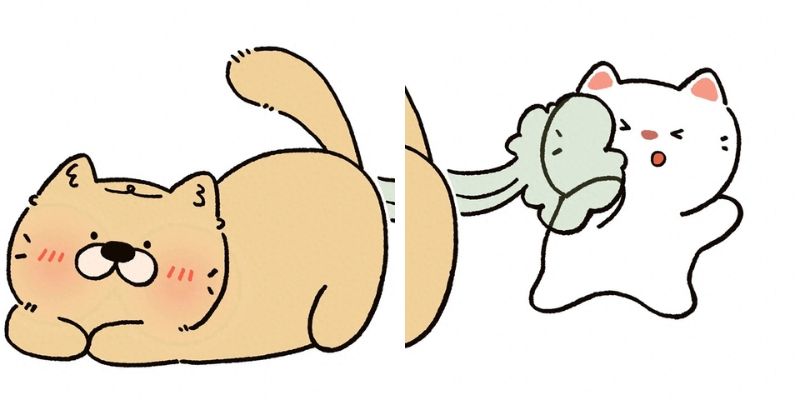 Những ảnh mèo chibi vô tri - Hình số 1