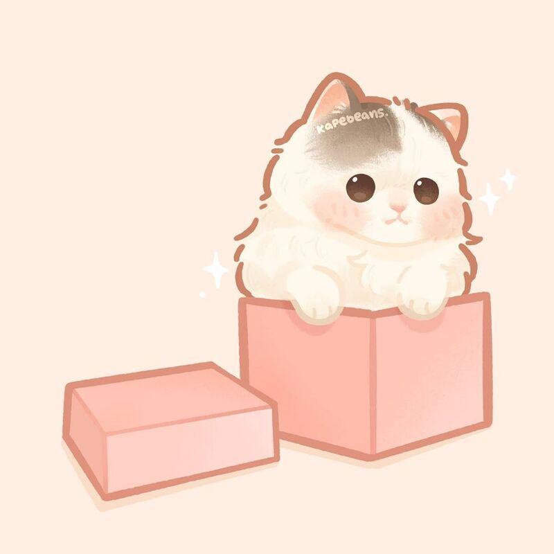 Những ảnh mèo chibi mập - Hình số 10