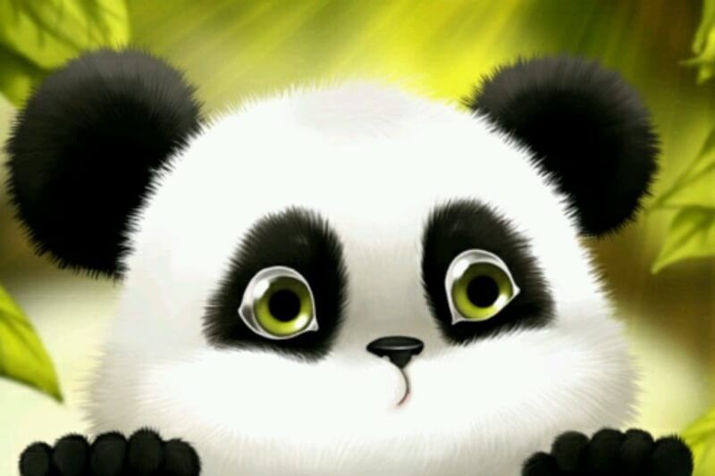 Những ảnh gấu trúc cute chibi hài hước - Hình số 4