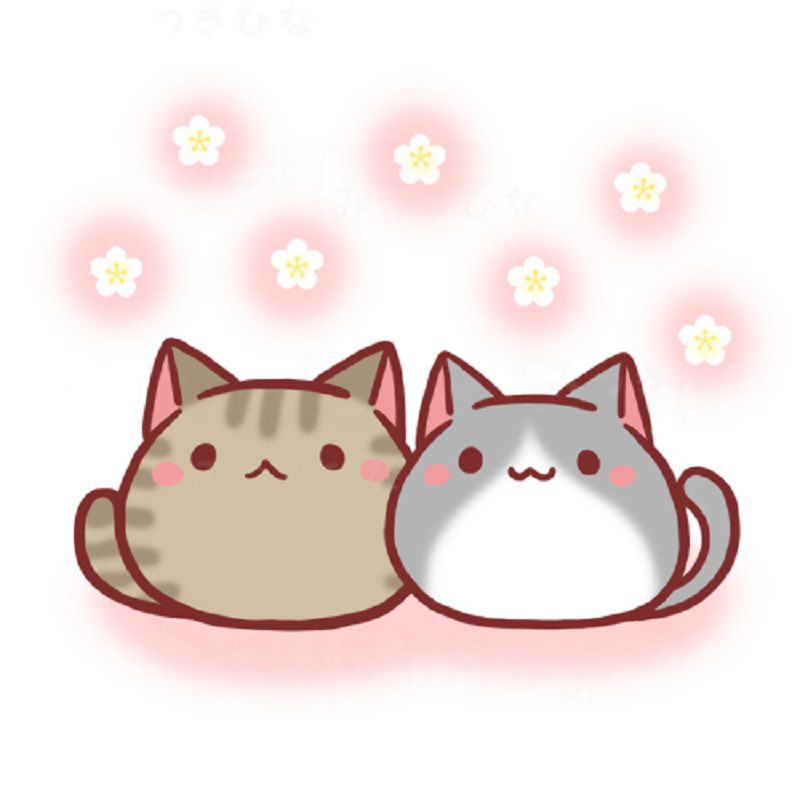 Những ảnh mèo chibi cute - Hình số 5